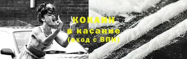гидра Новозыбков