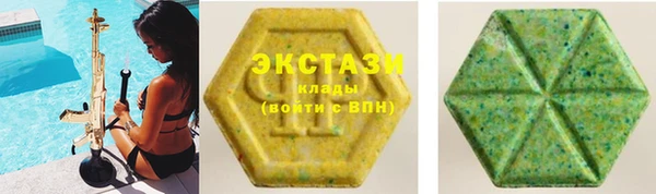 прущие грибы Тында
