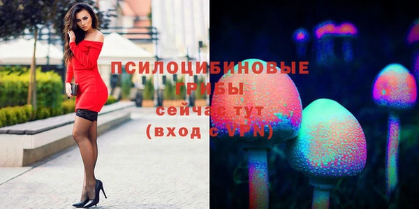 амф Надым