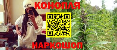 сатива Берёзовский