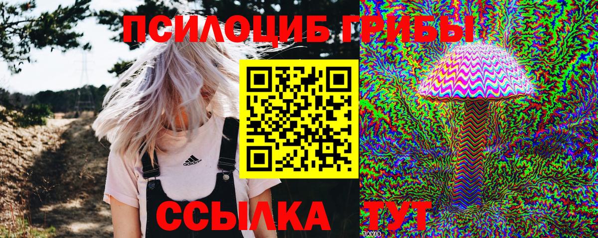 Псилоцибиновые грибы Cubensis Красноперекопск