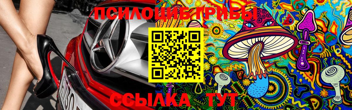 Псилоцибиновые грибы MAGIC MUSHROOMS  как найти закладки  Красноперекопск  Галлюциногенные грибы мицелий 