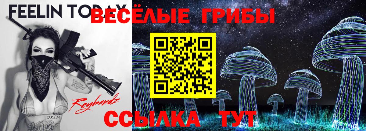 Псилоцибиновые грибы Psilocybine cubensis Красноперекопск